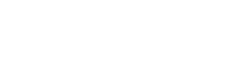 website company